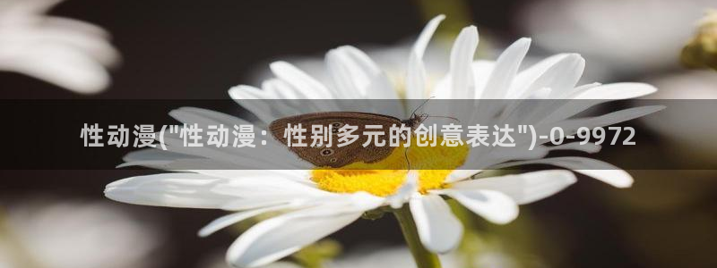 神墓动漫