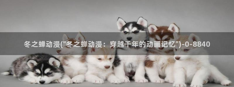 狂赌之渊动漫