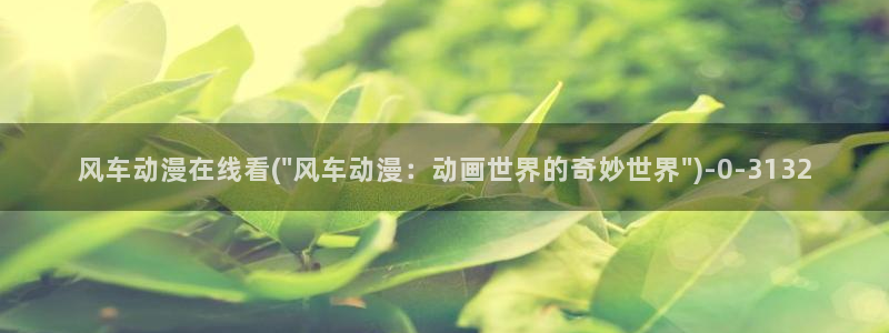 爱动漫网