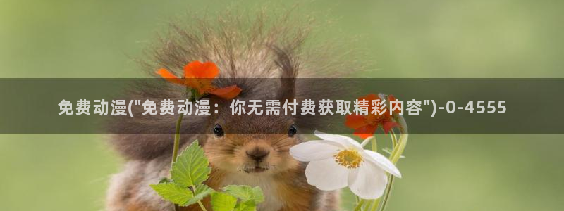 火影同人动漫