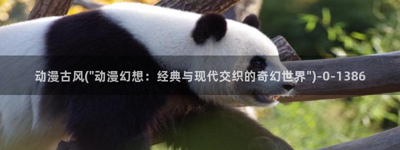 全职法师动漫